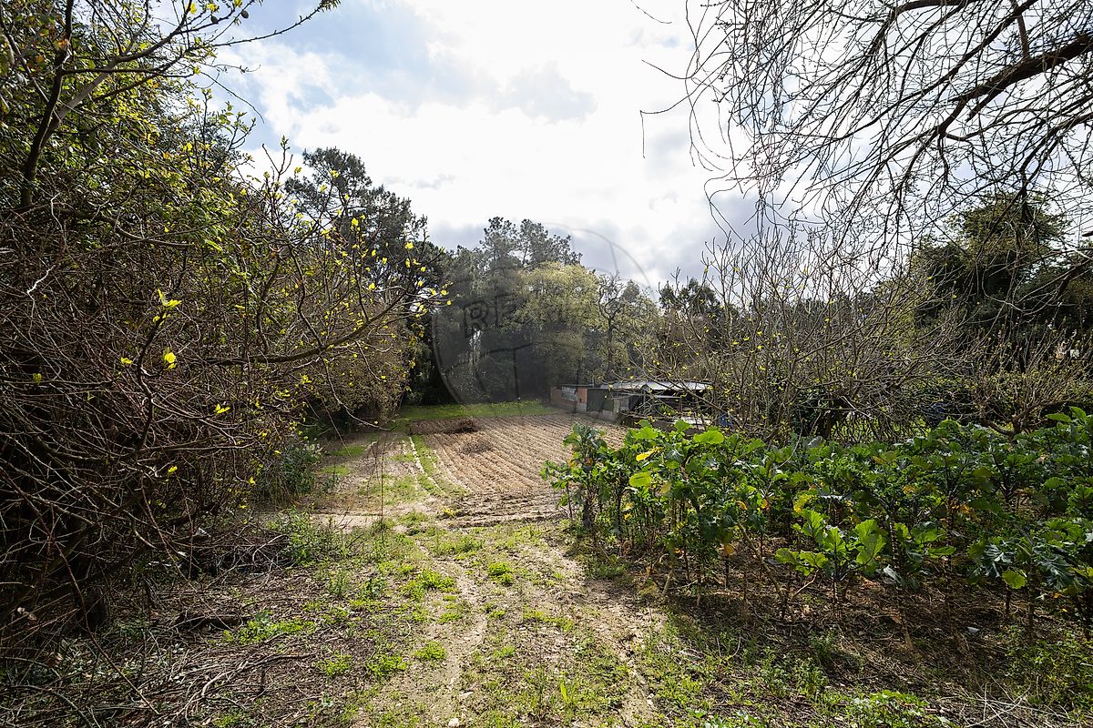 Terreno  à venda em Leiria