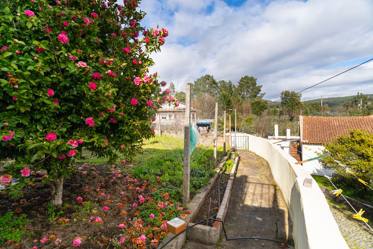 listing 120251232-77 picture-0
