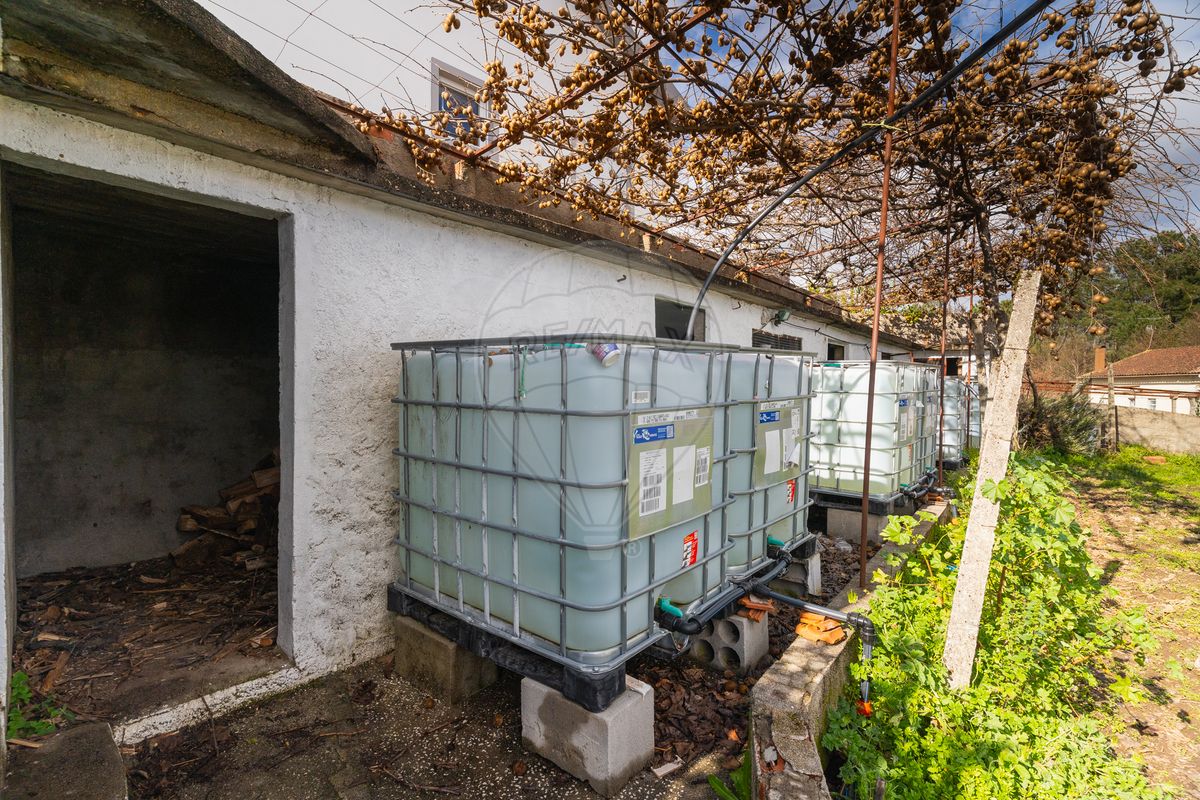 listing 120251232-77 picture-0