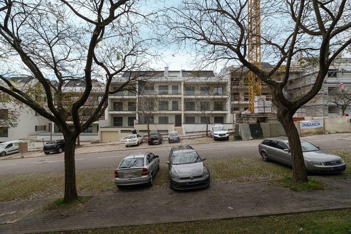 listing 120251237-315 picture-0