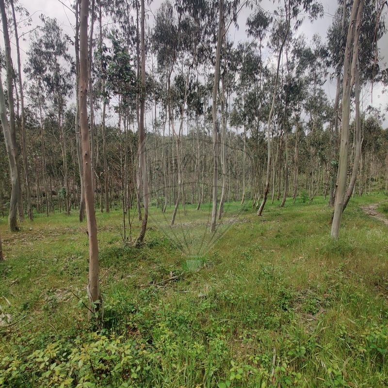 Terreno para venda