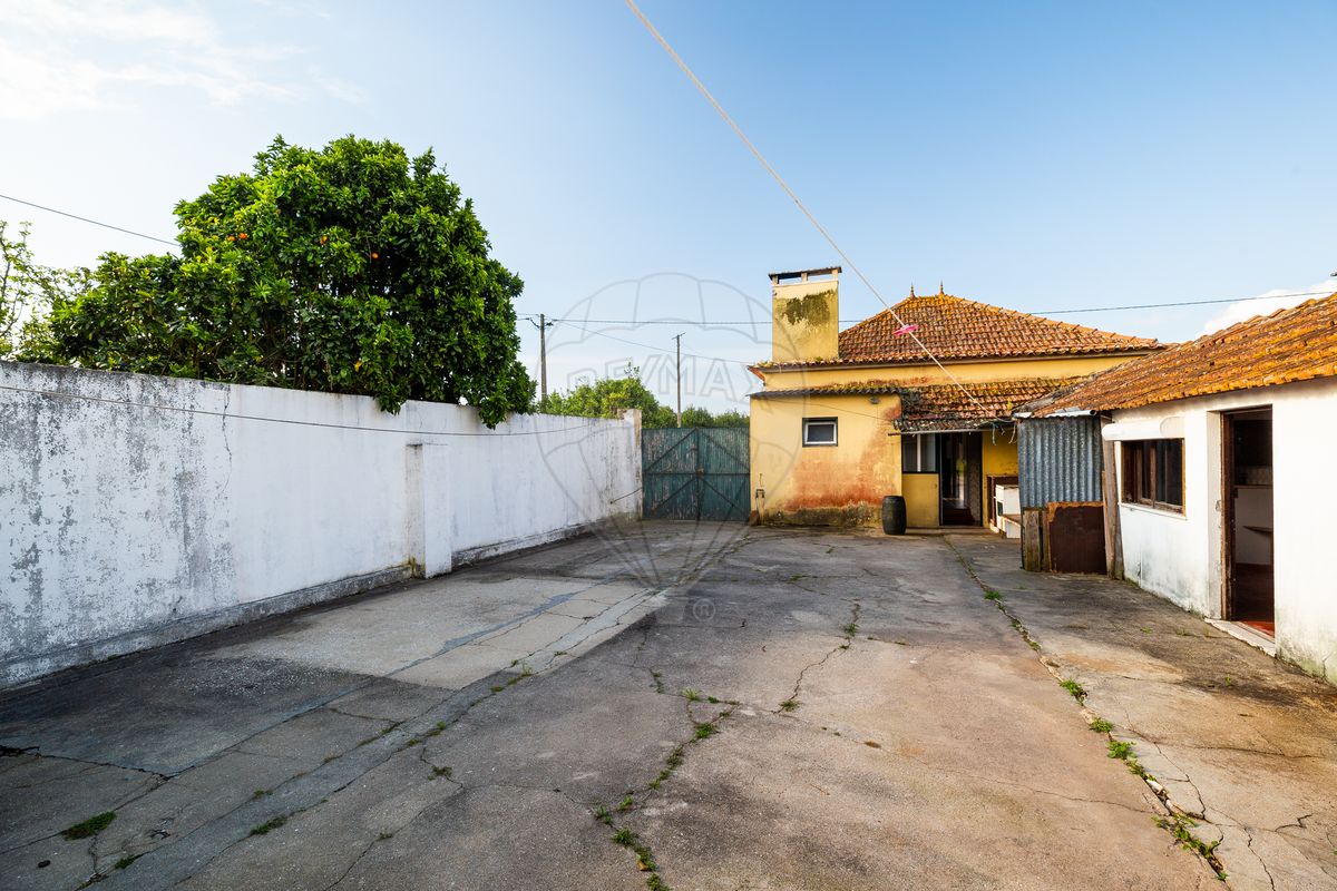 listing-picture-0