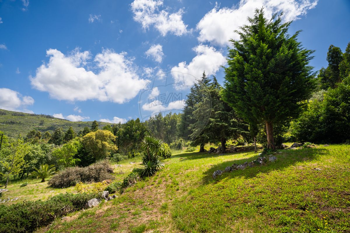 listing 120251237-323 picture-0