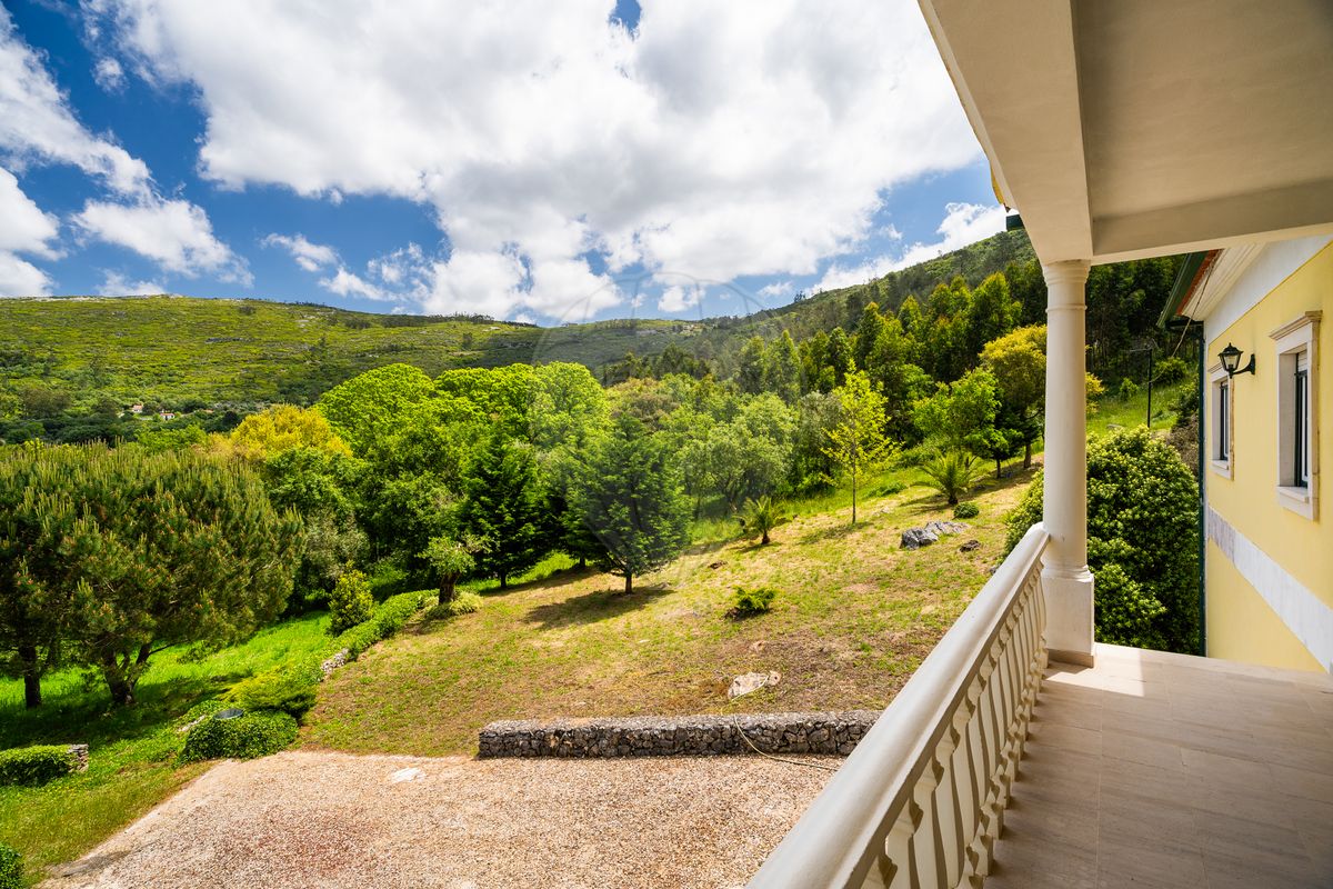 listing 120251237-323 picture-0