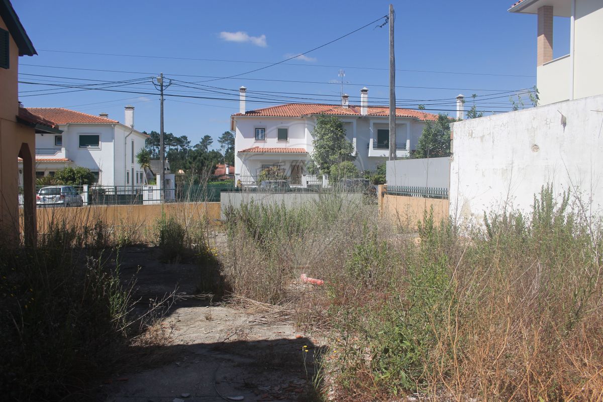 listing 120251411-9 picture-0