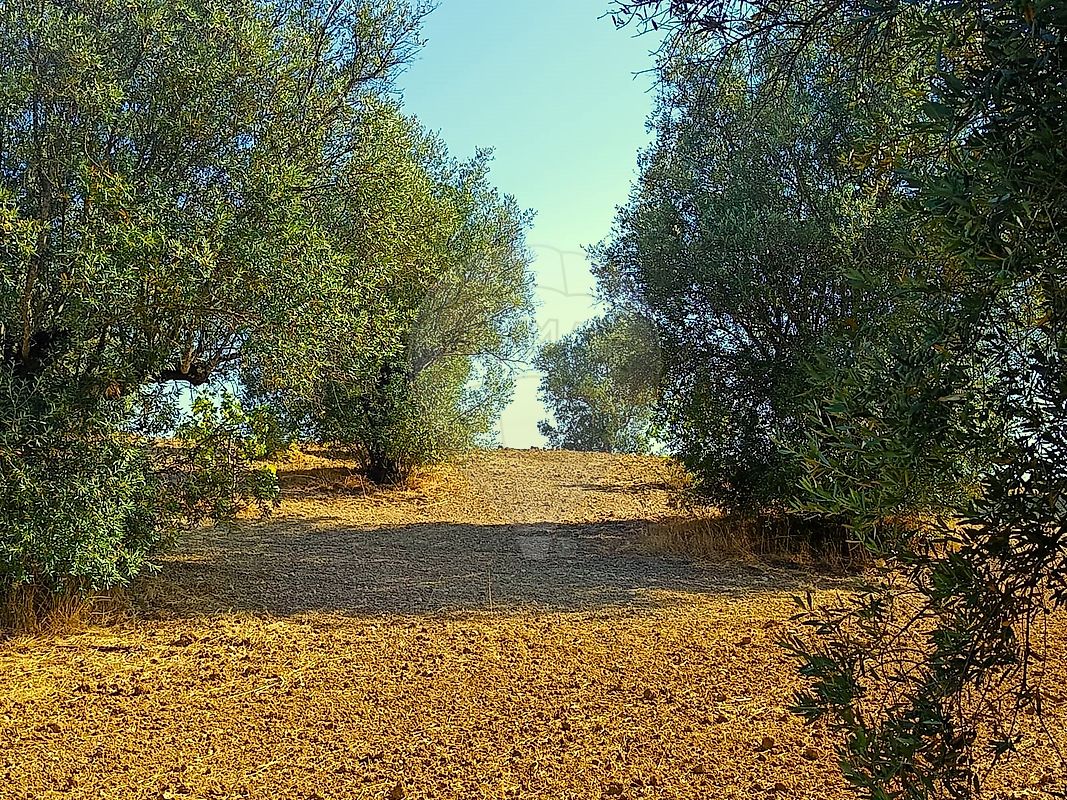 Terreno para venda