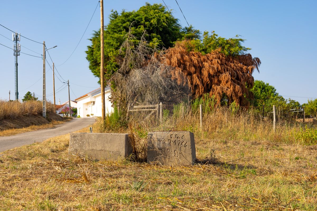 Terreno  para venda