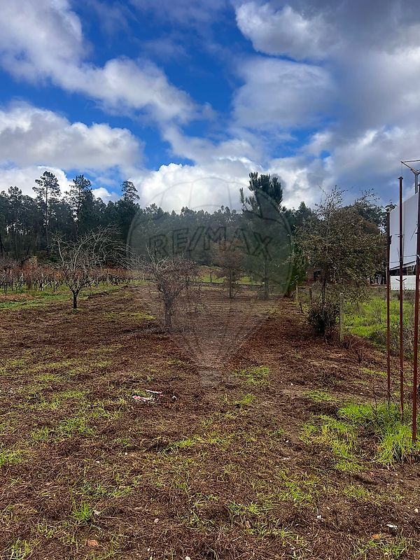 Terreno - Pelariga, Pombal, Leiria