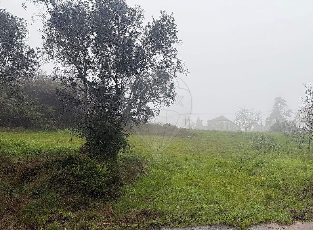 Terreno - Santa Catarina, Caldas da Rainha, Leiria