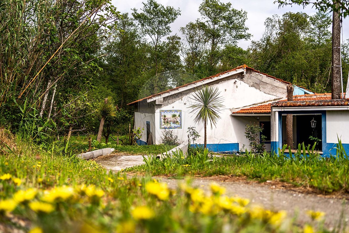 Moradia T4 à venda em Monte Redondo e Carreira, Leiria — foto 30