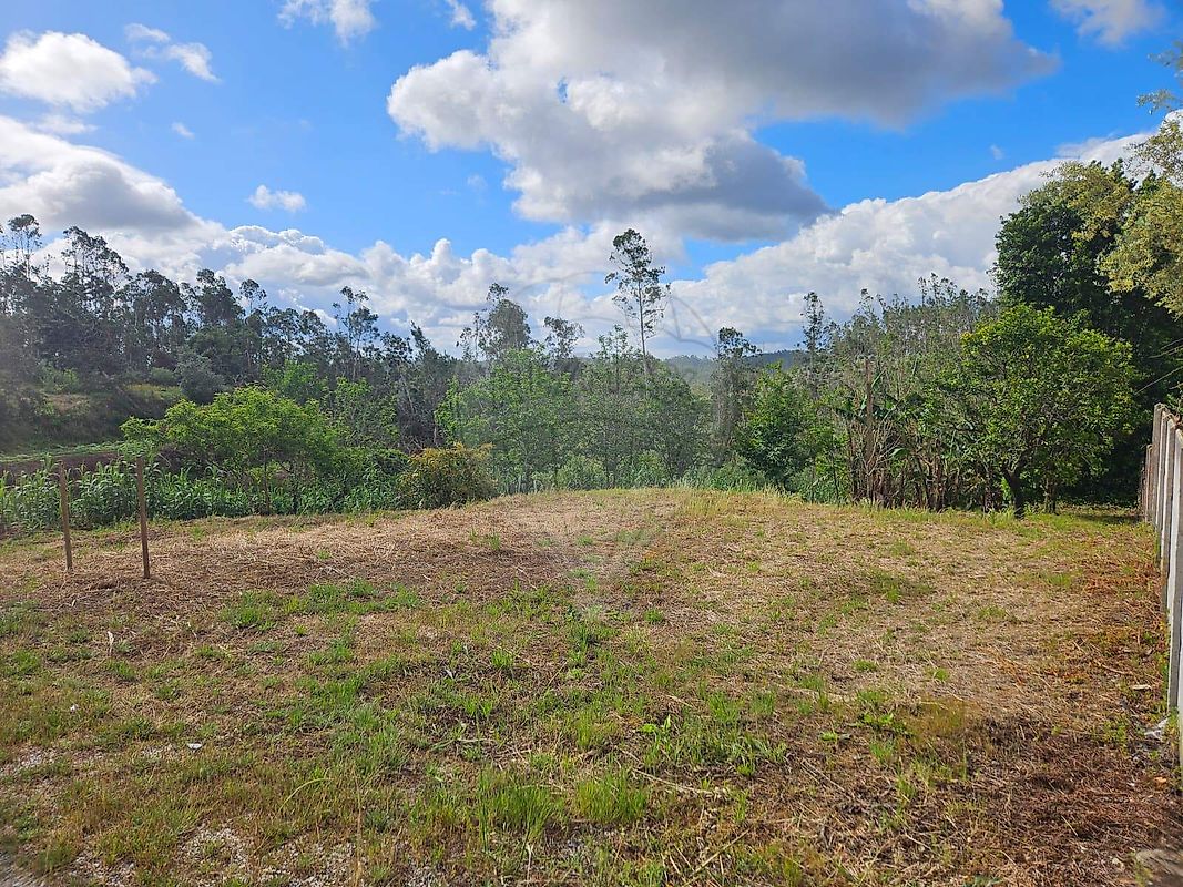 Terreno - Louriçal, Pombal, Leiria
