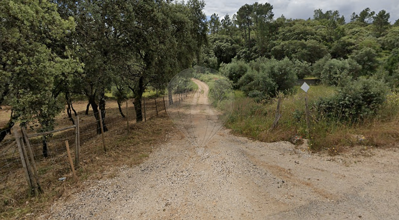 Terreno - Além da Ribeira e Pedreira, Tomar, Santarém