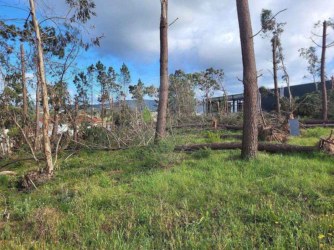 Terreno à venda em Leiria