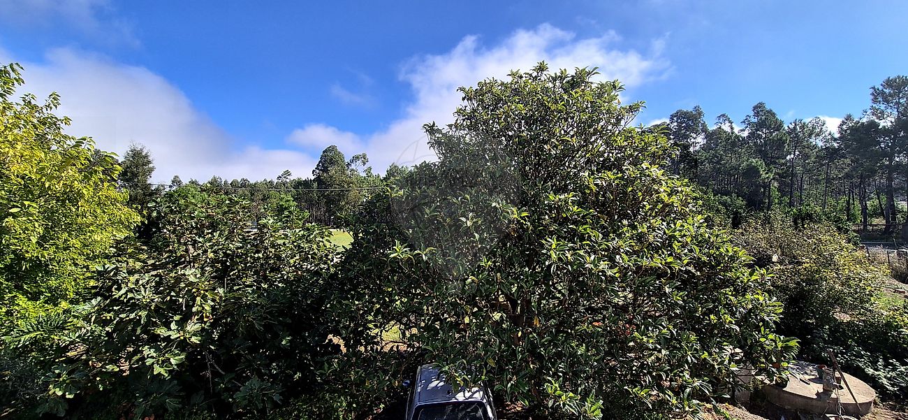 Moradia T4 à venda em Quiaios, Figueira da Foz — foto 37