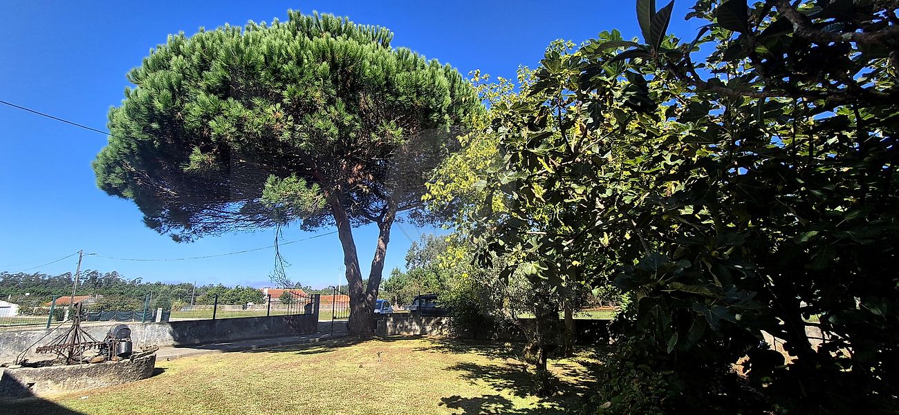 Moradia T4 à venda em Quiaios, Figueira da Foz — foto 39