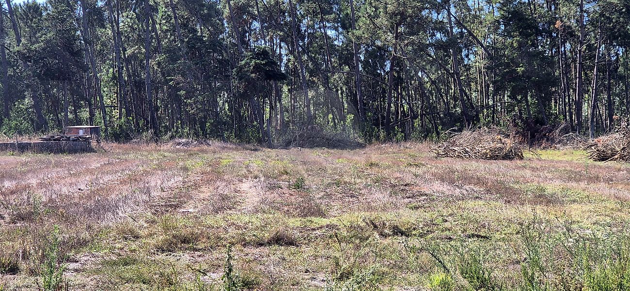 Moradia T4 à venda em Quiaios, Figueira da Foz — foto 36