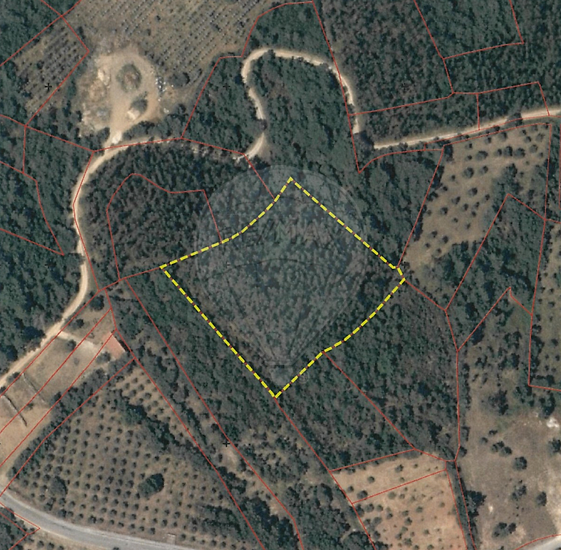 Terreno - Além da Ribeira e Pedreira, Tomar, Santarém