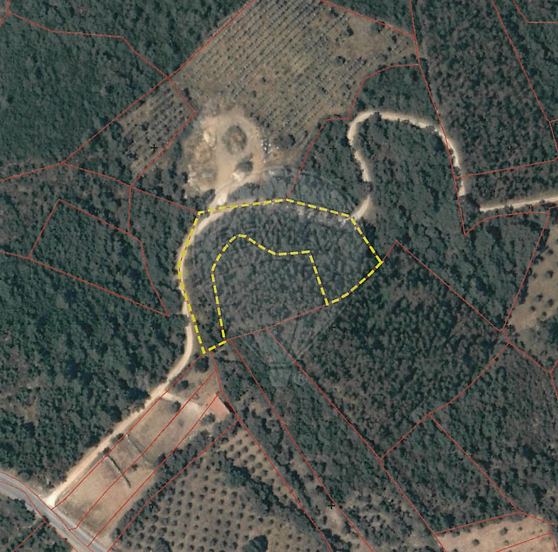 Terreno - Além da Ribeira e Pedreira, Tomar, Santarém