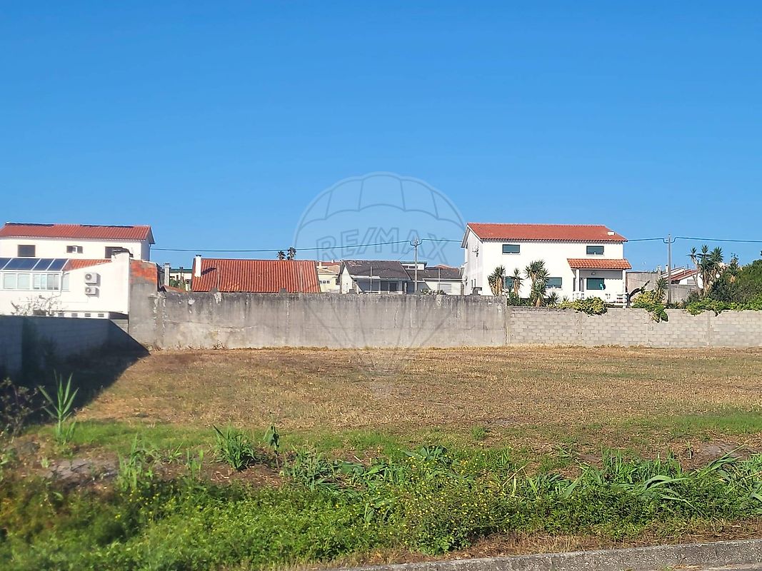Terreno - Vieira de Leiria, Marinha Grande, Leiria