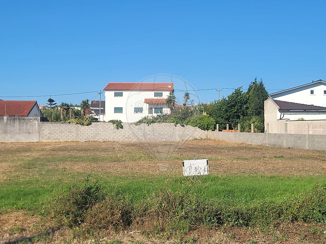 Terreno - Vieira de Leiria, Marinha Grande, Leiria