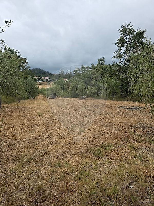 Apartamento à venda em Pombal