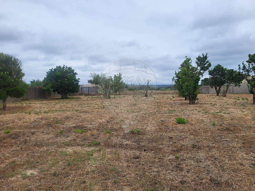 Moradia T3 à venda em Amor, Leiria — foto 13