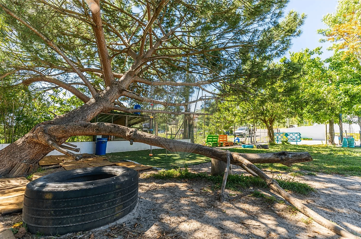 Moradia T6+ à venda em Colmeias e Memória, Leiria — foto 6