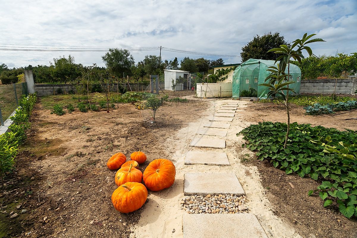 Moradia T3 à venda em Almagreira, Pombal — foto 35