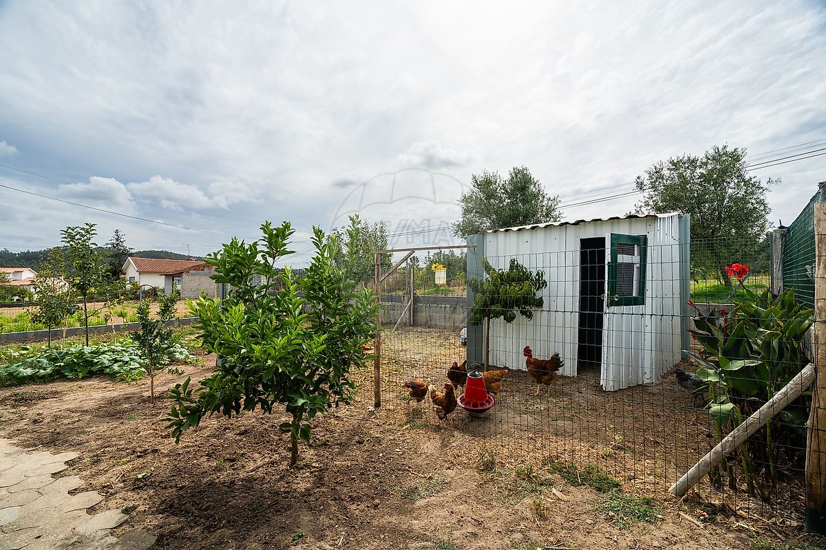 Moradia T3 à venda em Almagreira, Pombal — foto 36
