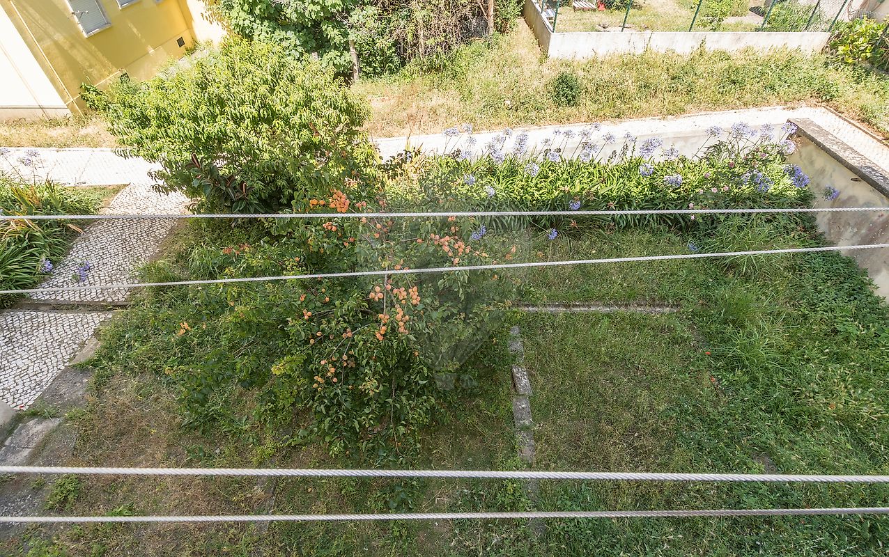 listing 120261304-142 picture-0