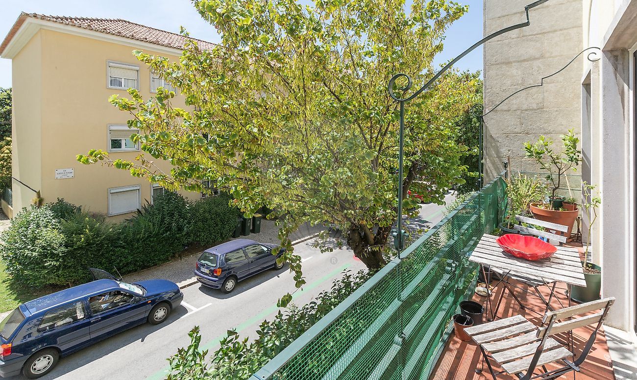 listing 120261304-142 picture-0