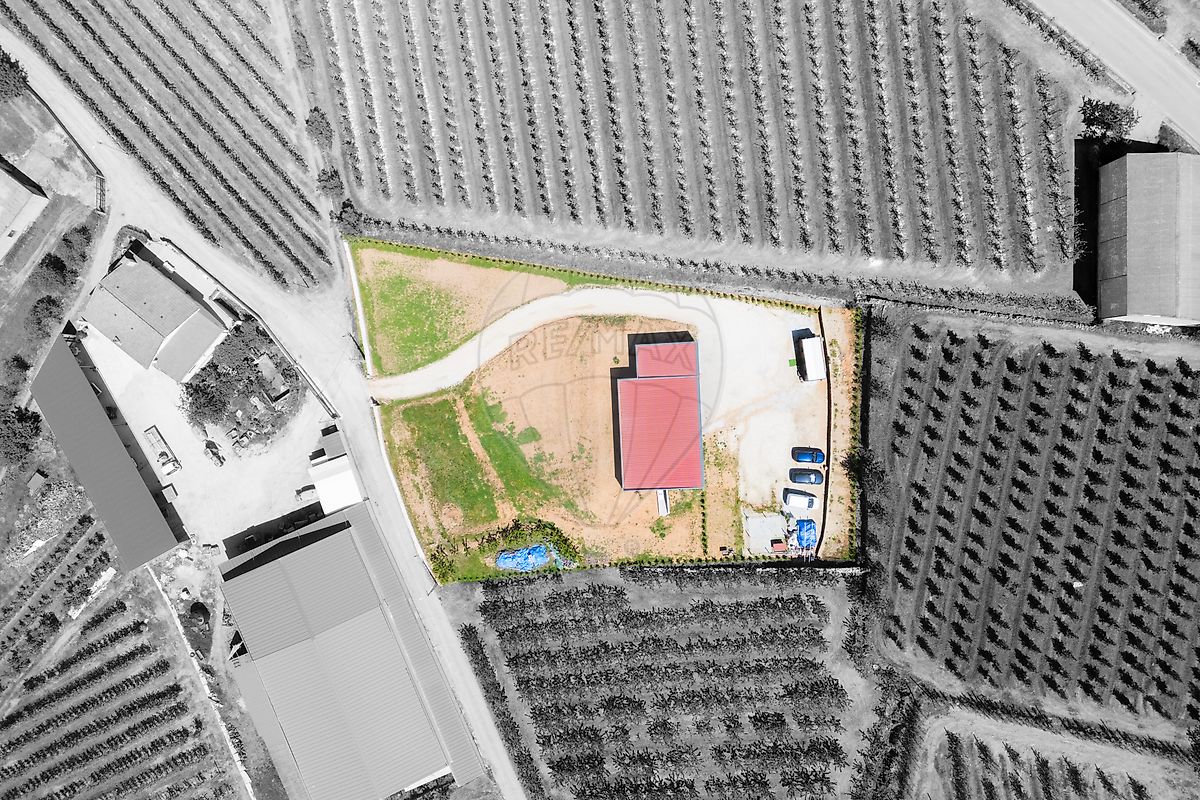 Moradia T3 à venda em Santa Cruz, Armamar — foto 34
