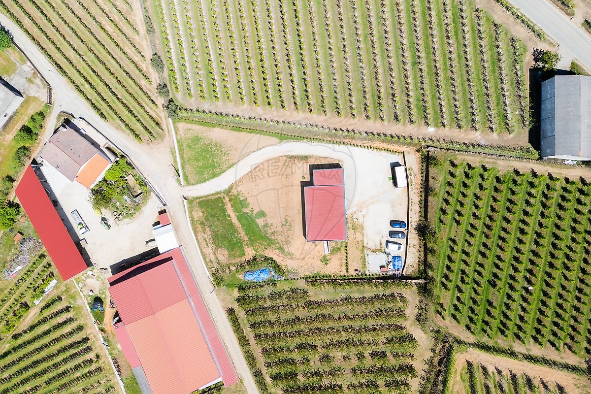 Moradia T3 à venda em Santa Cruz, Armamar — foto 37