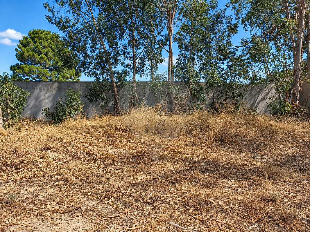 Terreno - Quinta do Anjo, Palmela, Setúbal