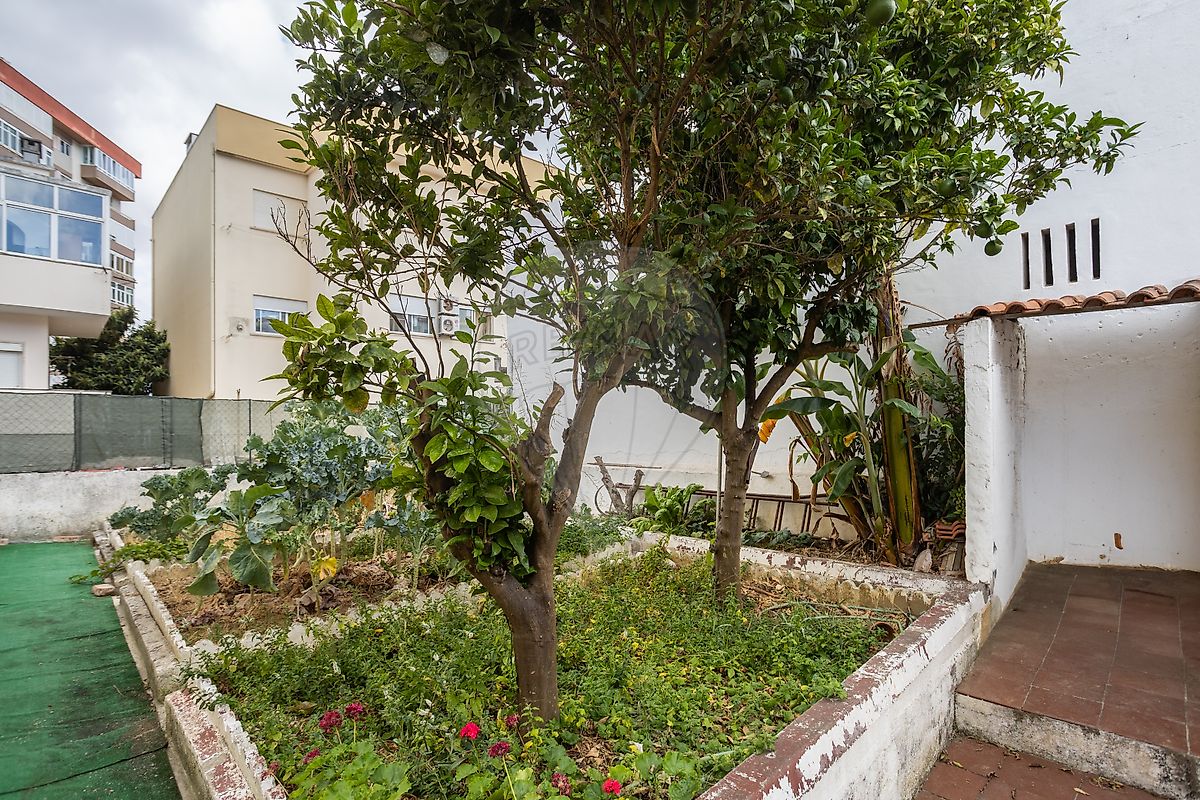 listing 120401015-2590 picture-0
