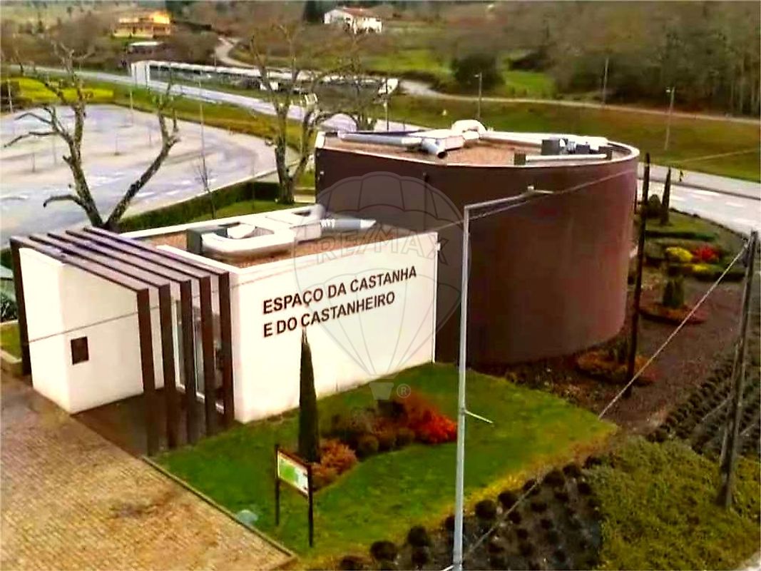 Moradia T4 à venda em Granjal, Sernancelhe — foto 31