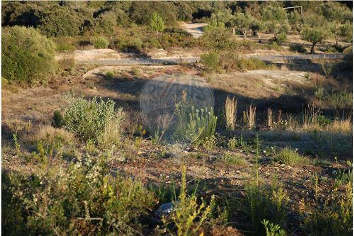 Terreno  à venda em Pousos