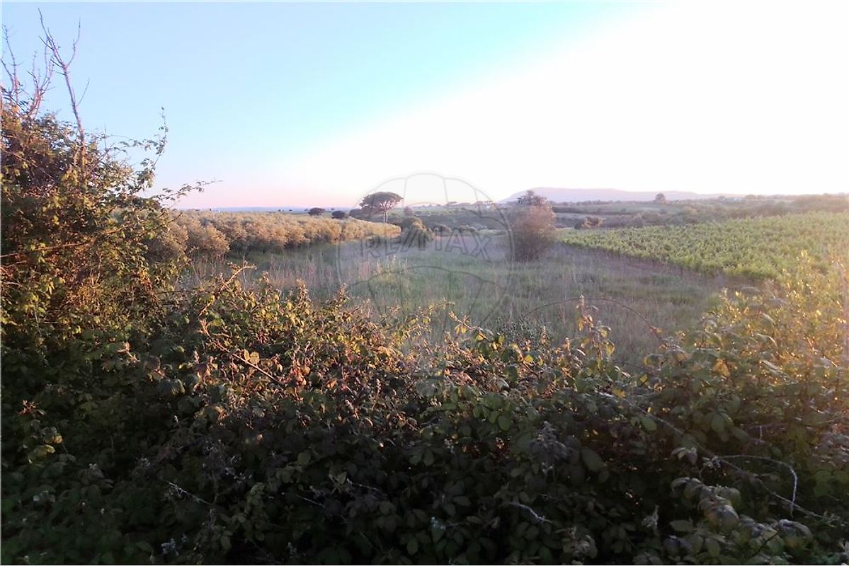 Terreno à venda em Azambuja
