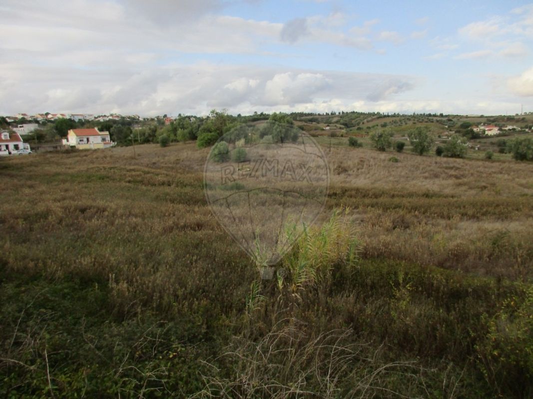 listing-picture-0