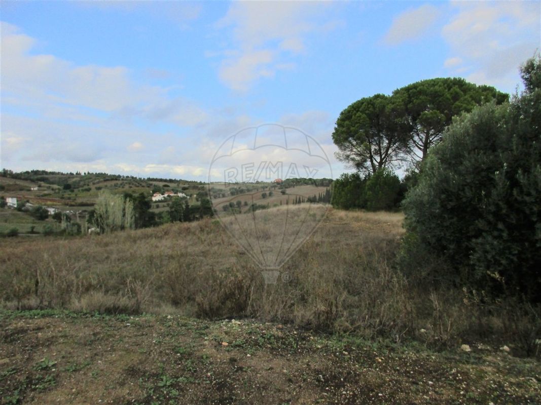 listing-picture-0