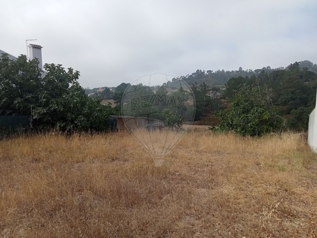 listing-picture-0