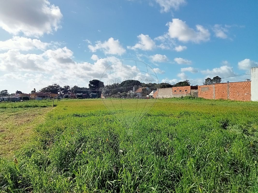 Terreno  à venda em Santarém