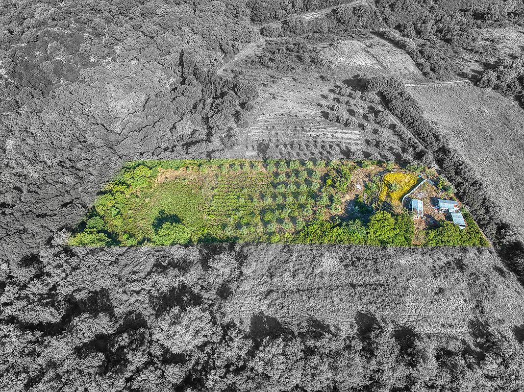 Terreno  à venda em Azambuja