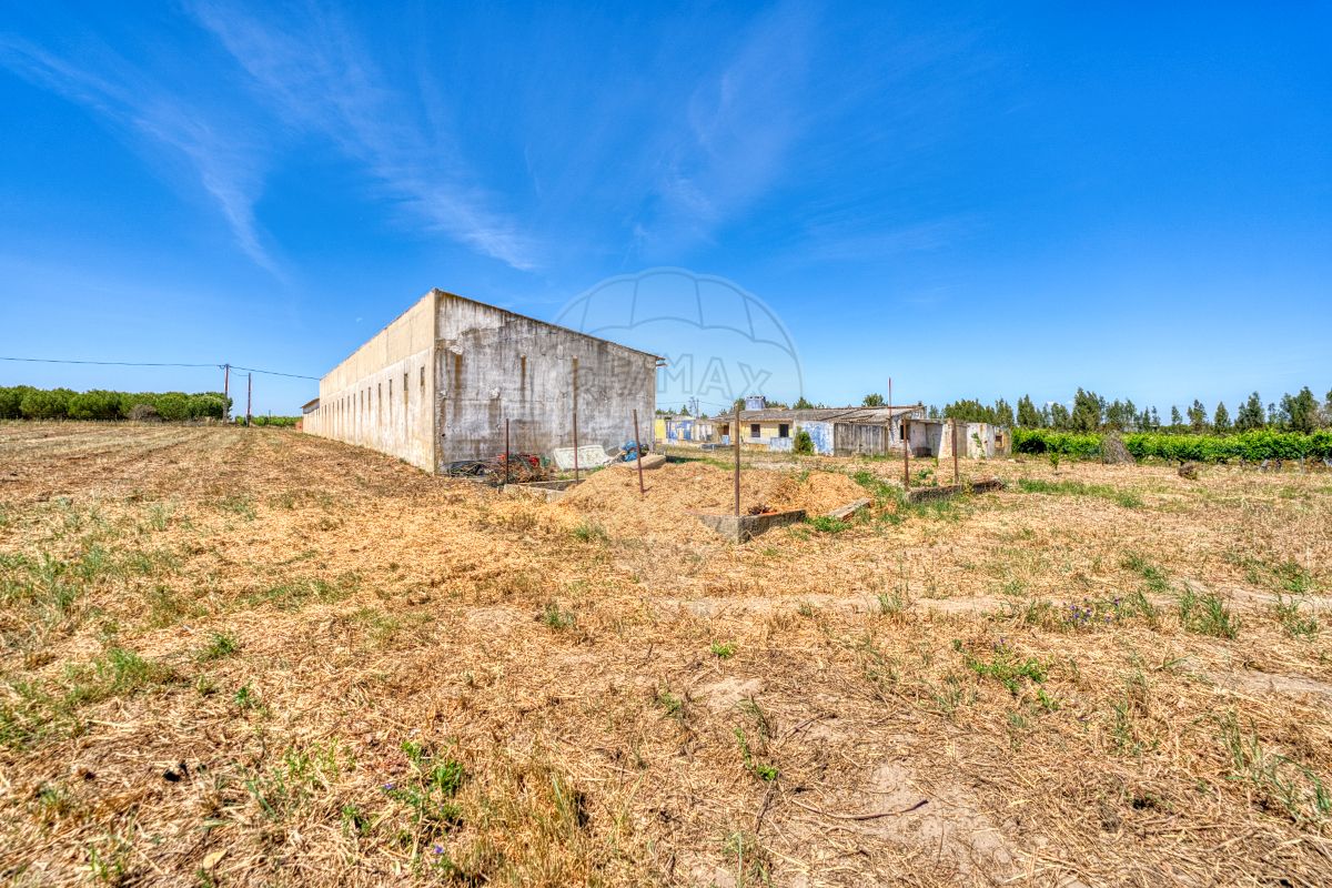 listing-picture-0