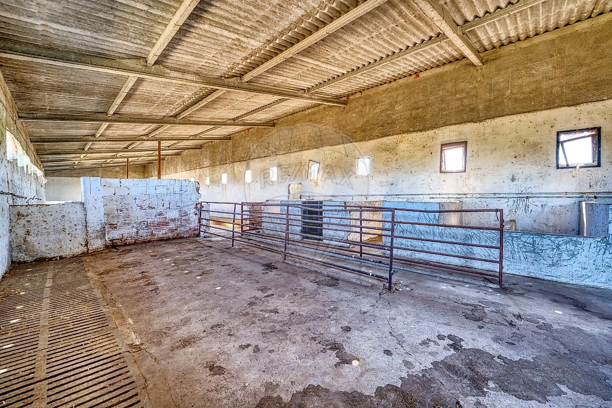 listing-picture-0