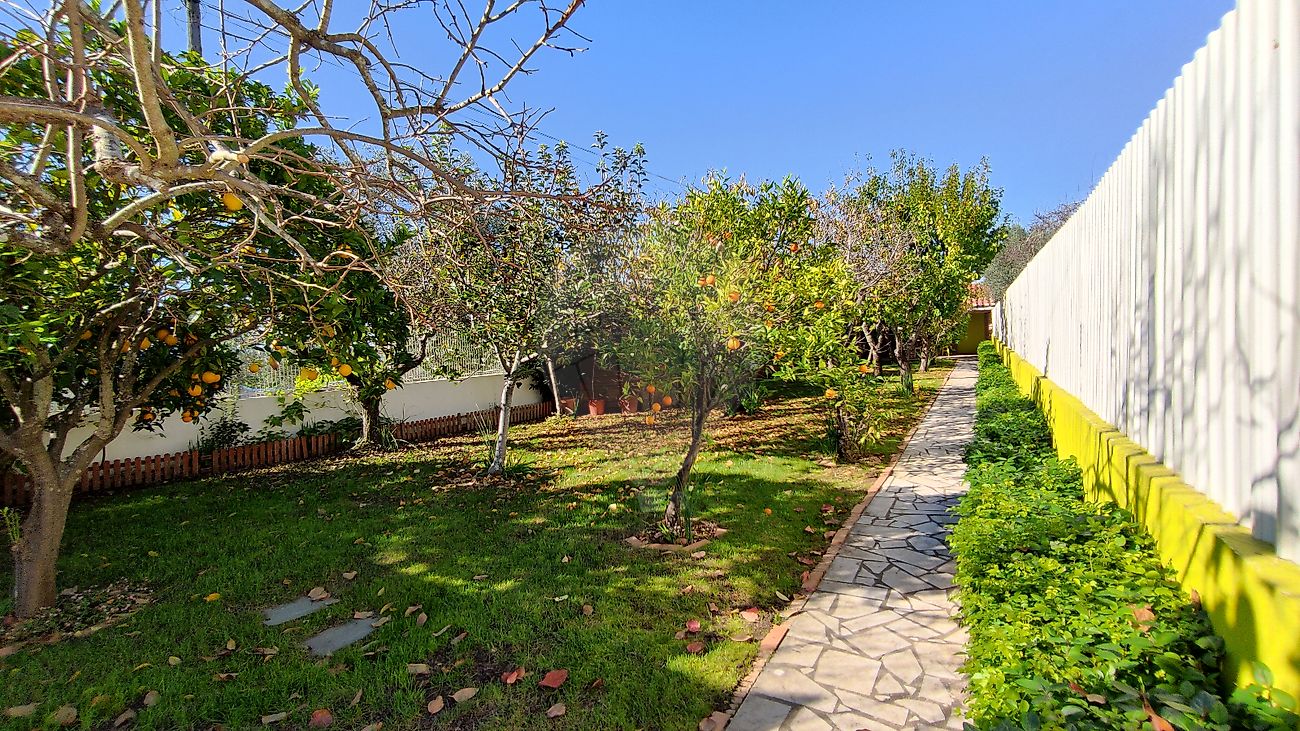 listing-picture-0