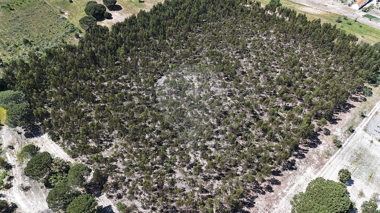 Terreno para venda