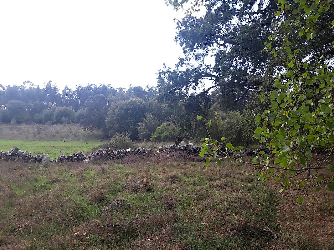 listing 120431285-88 picture-0