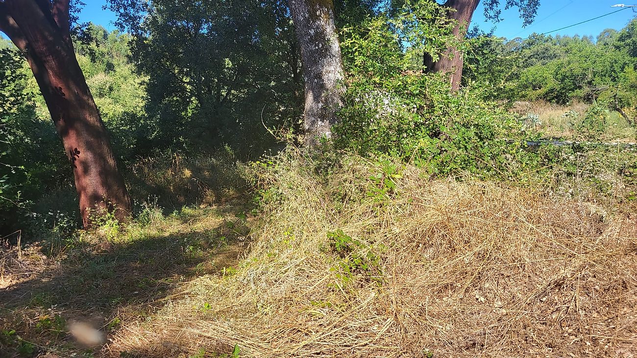 listing 120431285-88 picture-0