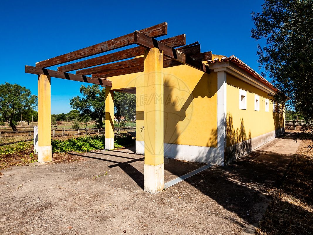 listing-picture-0